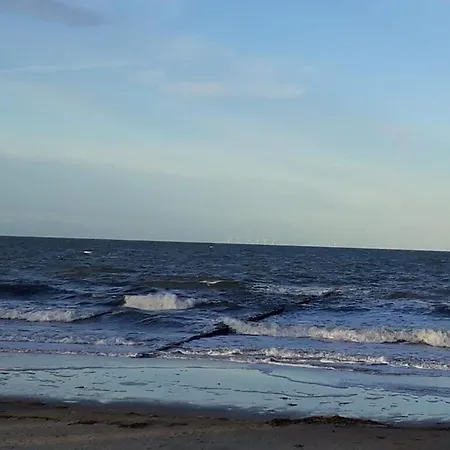 Matten 8 * Zingst