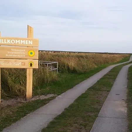 Matten 8 Zingst